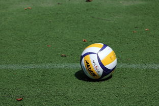 米兰体育入口-好消息！意甲豪门欲签下中国女排当家球星，已在运作或联手埃格努